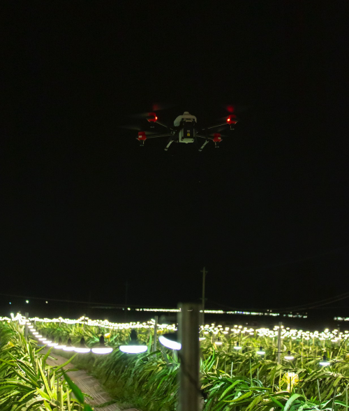 夜間水稻直播、果樹植保